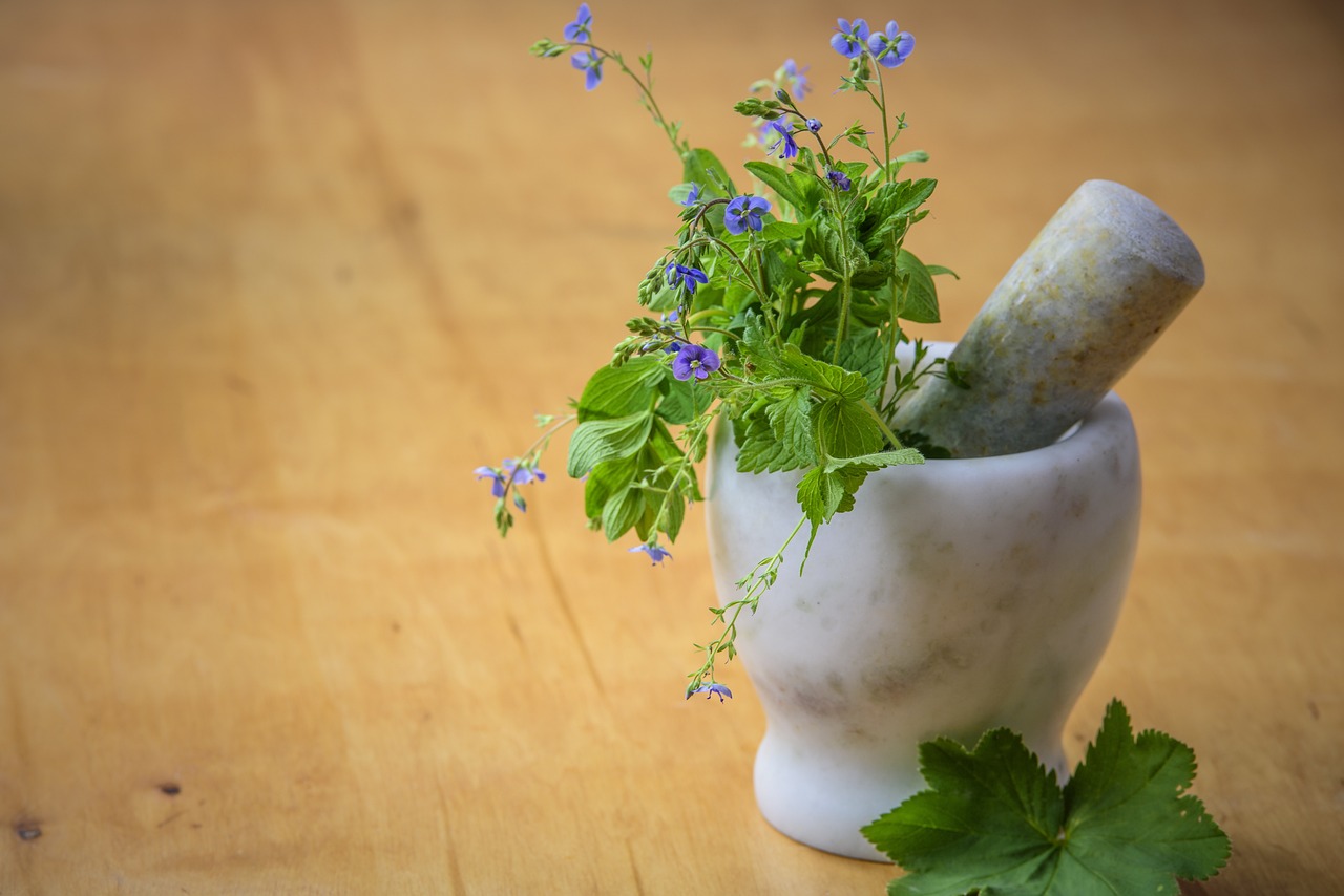 natural medicine, herbs from the meadow, nature